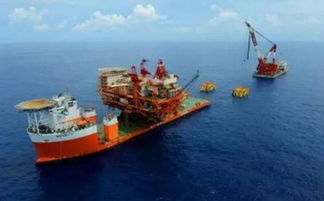 碧海藍天間的“巨樹”如何生根——揭秘海上風電場的建設全過程