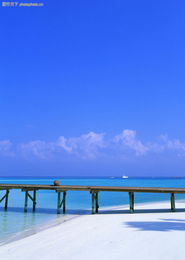 海上度假與陸路貨運 現代生活方式的多元畫卷