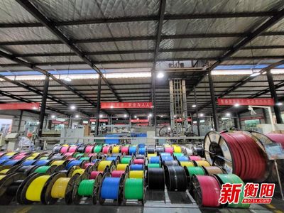 衡陽輸變電產(chǎn)業(yè)強(qiáng)勢崛起 產(chǎn)業(yè)規(guī)模國內(nèi)前列，產(chǎn)品創(chuàng)多項世界第一